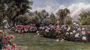 Kew Bahçeleri: Şakayıklar (renkli taş)