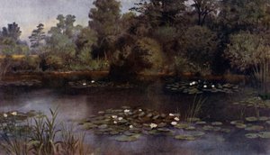 Kew Bahçeleri: Nilüfer Göleti (renkli taş) by Thomas Mower Martin