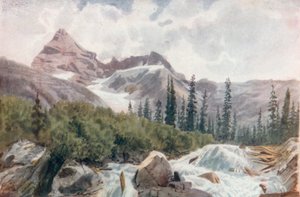 Selkirks