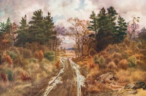 Fundy Körfezi yakınlarındaki yol, Sonbahar (renkli lito)