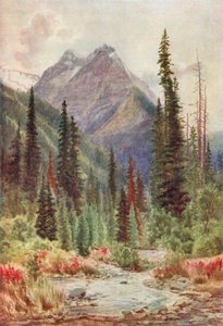 Ross Zirvesi, Selkirk Dağları, British Columbia (renkli lito) by Thomas Mower Martin
