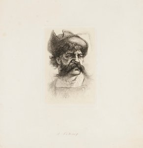 Bir Viking by Thomas Nast