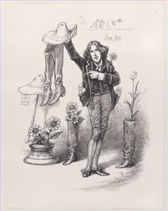 Wilde Bizden. Amerika