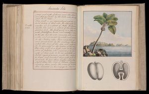 by Thomas Pennant
