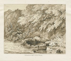 Codsall Wood - Brimstone Kuyusu: sepya çizimi by Thomas Peploe Wood