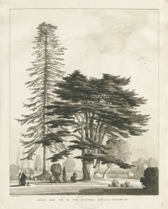 Haughton Rectory: sepya yıkama çizimi by Thomas Peploe Wood