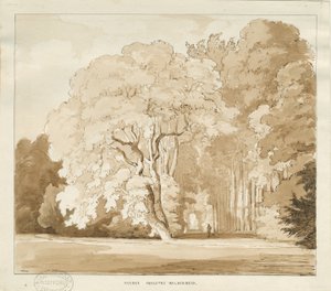 Ingestre - ağaçların incelenmesi: sepya çizimi, nd [?1838] (çizim) by Thomas Peploe Wood