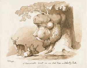 Wolseley Park - Bir Meşe Ağacında Düğüm: kalem ve sepya çizimi by Thomas Peploe Wood