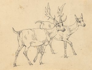 Albüm Çizimi by Thomas Rowlandson