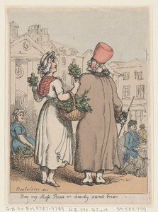 My Moss Roses veya Dainty Sweet briar, 1811., 1811 satın alın. by Thomas Rowlandson