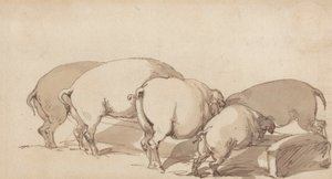 Çukurdaki Domuzlar, c.1790 (kalem ve mürekkepli grafit ve kağıt üzerinde kahverengi yıkama) by Thomas Rowlandson