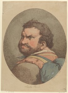 Sancho Panza, Don Kişot