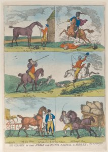 Asil ve Yararlı Hayvanın Altı Sınıfı Bir At, 10 Ekim 1811., 10 Ekim 1811. by Thomas Rowlandson