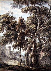 Ağaçların İncelenmesi (kalem ve mürekkep ve kağıt üzerine sulu boya) by Thomas Sandby
