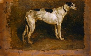 Lurcher (kağıt üzerinde yağlı boya) by Thomas Sidney Cooper