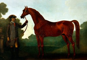 Bay Charles Wilson