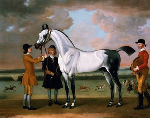 Newmarket