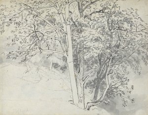 Ağaçların İncelenmesi by Thomas Stothard
