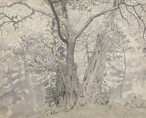 Ağaç Çalışması by Thomas Stothard