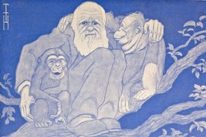 1909 Darwin çizgi film maymun detaylı