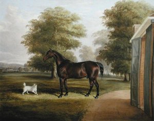 Bir Terrier ile Bir Körfez Atı by Thomas W. Bretland
