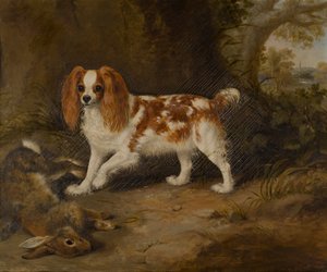 Ölü Tavşanlı Bir Spaniel, 1822-74 dolayları (tuval üzerine yağlı boya) by Thomas W. Bretland