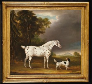 Appaloosa Atı ve İspanyol, 1807