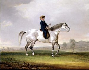 Gri Midillisinde Usta Edward Humphries by Thomas Weaver