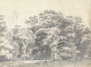 Nehir kıyısındaki ağaçlar by Thomas Wyck