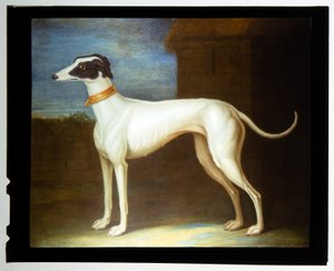  by Thomas of Pall Mall Butler