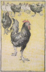 Horoz, ardından siyah beyaz Tavuklar (beyaz kağıt üzerinde siyah ve renkli tebeşir ile grafit, siyah tebeşirle bir çizgi ile kenar) by Théophile Alexandre Steinlen
