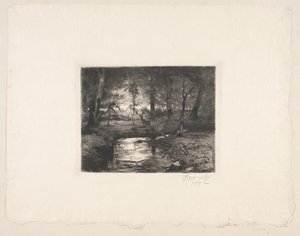 Borrevejle Ormanında Aa by Thorvald Niss
