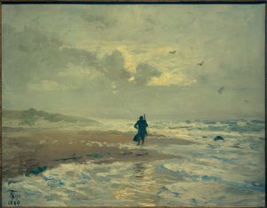 Plaj manzarası. Skagen yakınındaki şubeler
