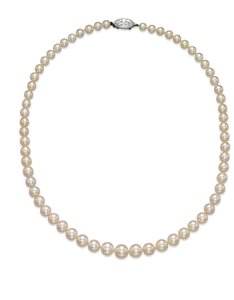 Tek sıra kolye by Tiffany and Company