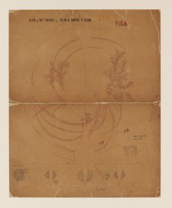 Study for Japanese style punch bowl
