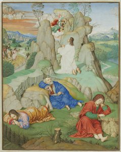 Tam Sayfa Minyatür: Bahçedeki Acı, 1490-1500.