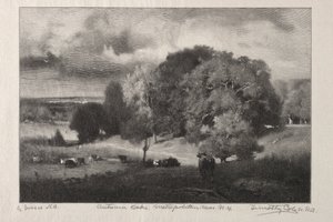 sonbahar meşe by Timothy Cole