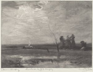 ovalar by Timothy Cole after John Francis Murphy