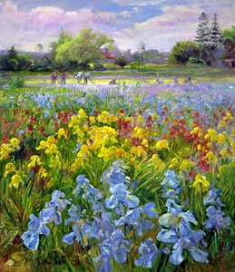 Çapa Takımı ve İris Tarlaları by Timothy Easton