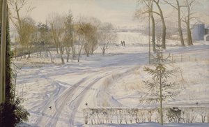 Moorhens aranıyor by Timothy Easton