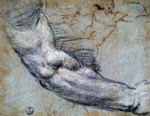 Kol çalışması, Titian (yaklaşık 1488-1576), çizim by Titian (c.1488 1576)