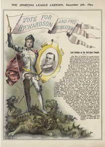 Richardson için oy verin (renkli litografi)