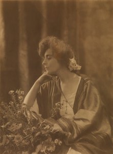  by Toponier Roissonnas