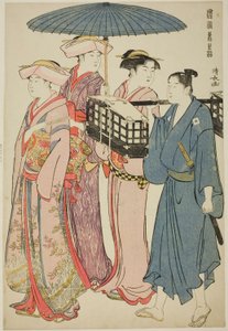 Pikniğe Gitmek, "Bir Brocade of Eastern Görgü (Fuzoku Azuma no nishiki)" serisinden by Torii Kiyonaga