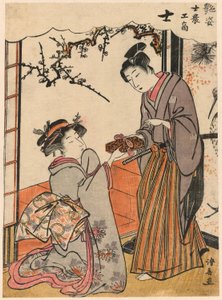 Dört Sosyal Sınıfı Örnekleyen Güzeller dizisinden Samuray (Shi) (Adesugata shi no ko sho) by Torii Kiyonaga
