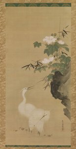 Ak balıkçıllar ve Pamuk Güller, 17. yüzyılın ortalarından sonlarına kadar. by Tosa Mitsuoki