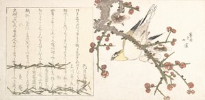 Bir Erik Dalı üzerinde Bush Warbler Ume ni uguisu, 19. yüzyılın başlarında. by Totoya Hokkei