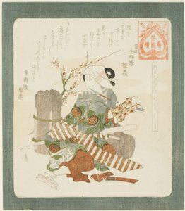 "Hanazono Gro p serisi (Hanazono versiyonunun devamı)" serisinden, d