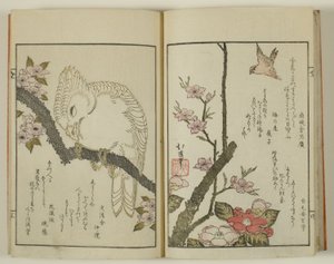  by Totoya Hokkei