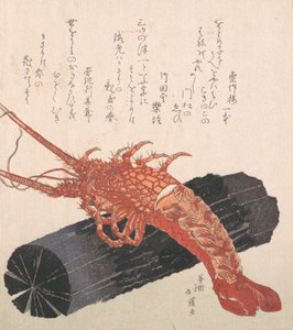 Kömür parçası üzerinde ıstakoz. by Totoya Hokkei
